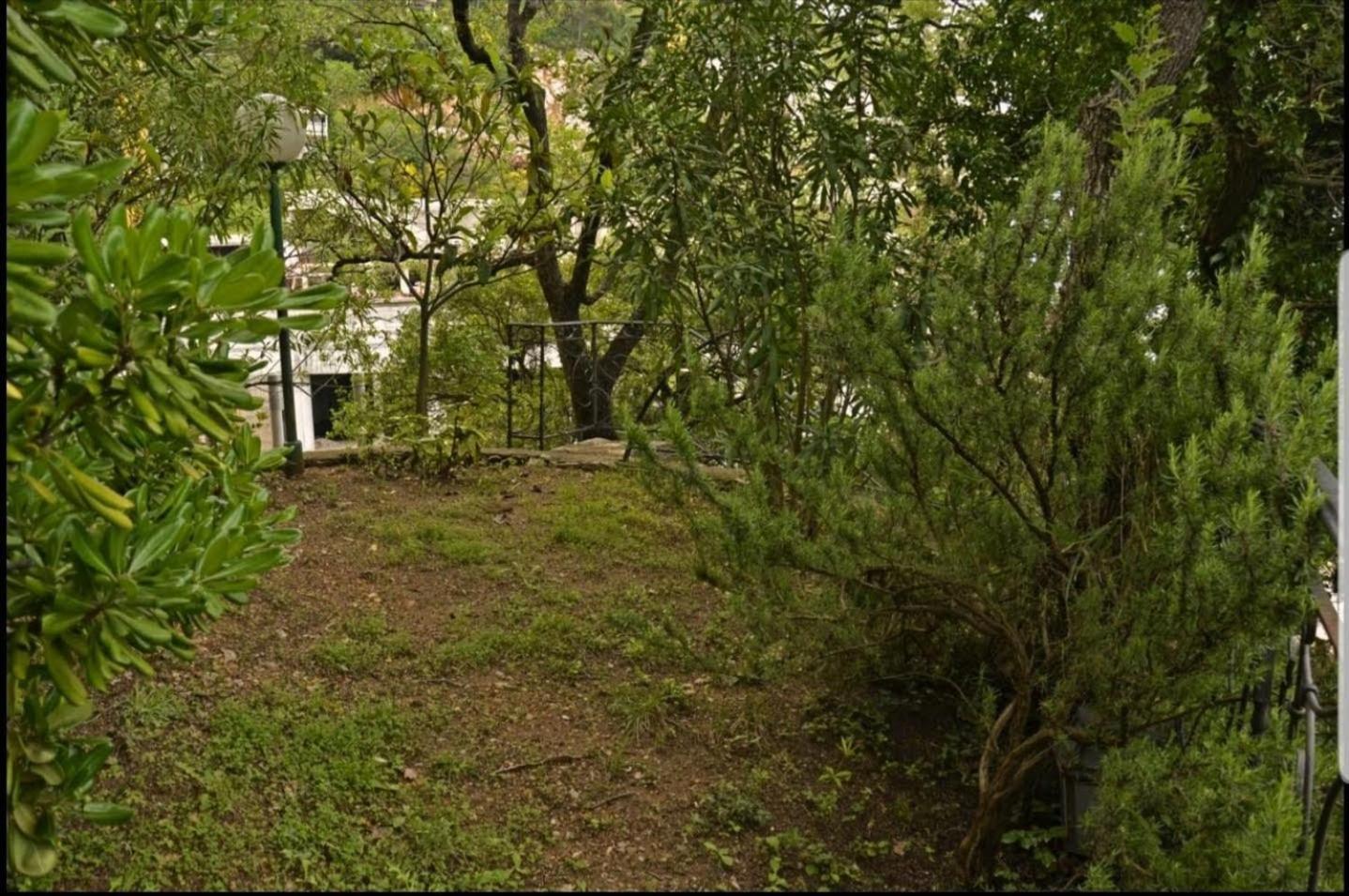 Nerina Apartment Petrovac エクステリア 写真